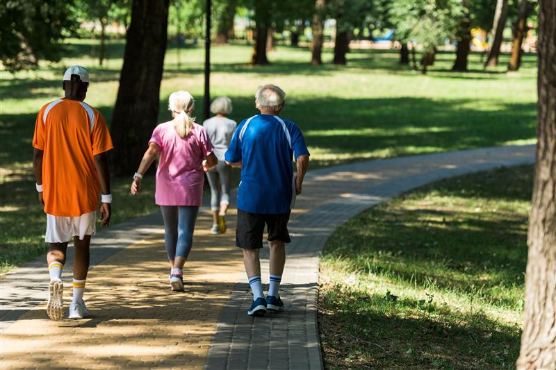 Healthy Lifestyle Program holding free walking clinic